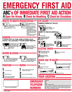 24"x19" Plastic ABC's of Emergency First Aid sign - 1 each