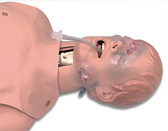 Critical Airway Management Trainer with Carry Bag