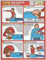 CPR Charts/ Posters 