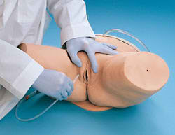 Life/form® Female Catheterization Simulator