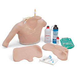 Life/form® Heart Catheterization Simulator