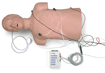 Defibrillation/CPR Trainer