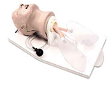 "Airway Larry" Adult Airway Management Trainer with Stand