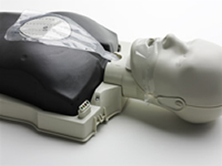 Prestan Professional Adult/Child CPR-AED Training Manikin (w/ CPR Monitor)